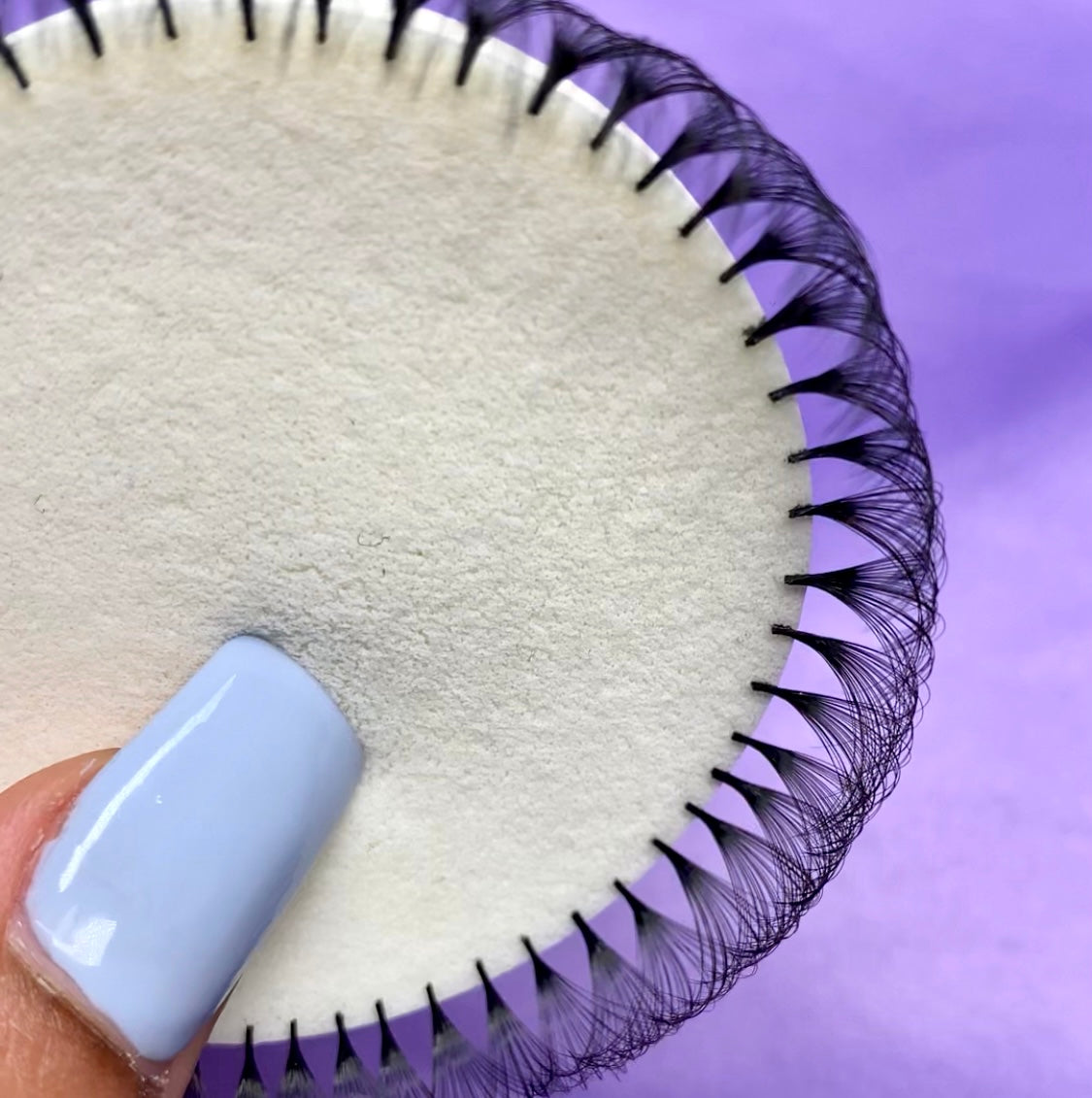 Discontinued Lash Trays